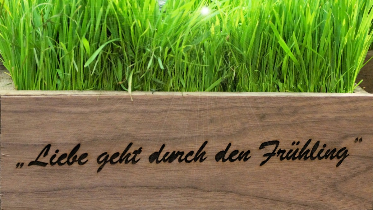 O Fotomagazin / Bluehendes Oesterreich 2016